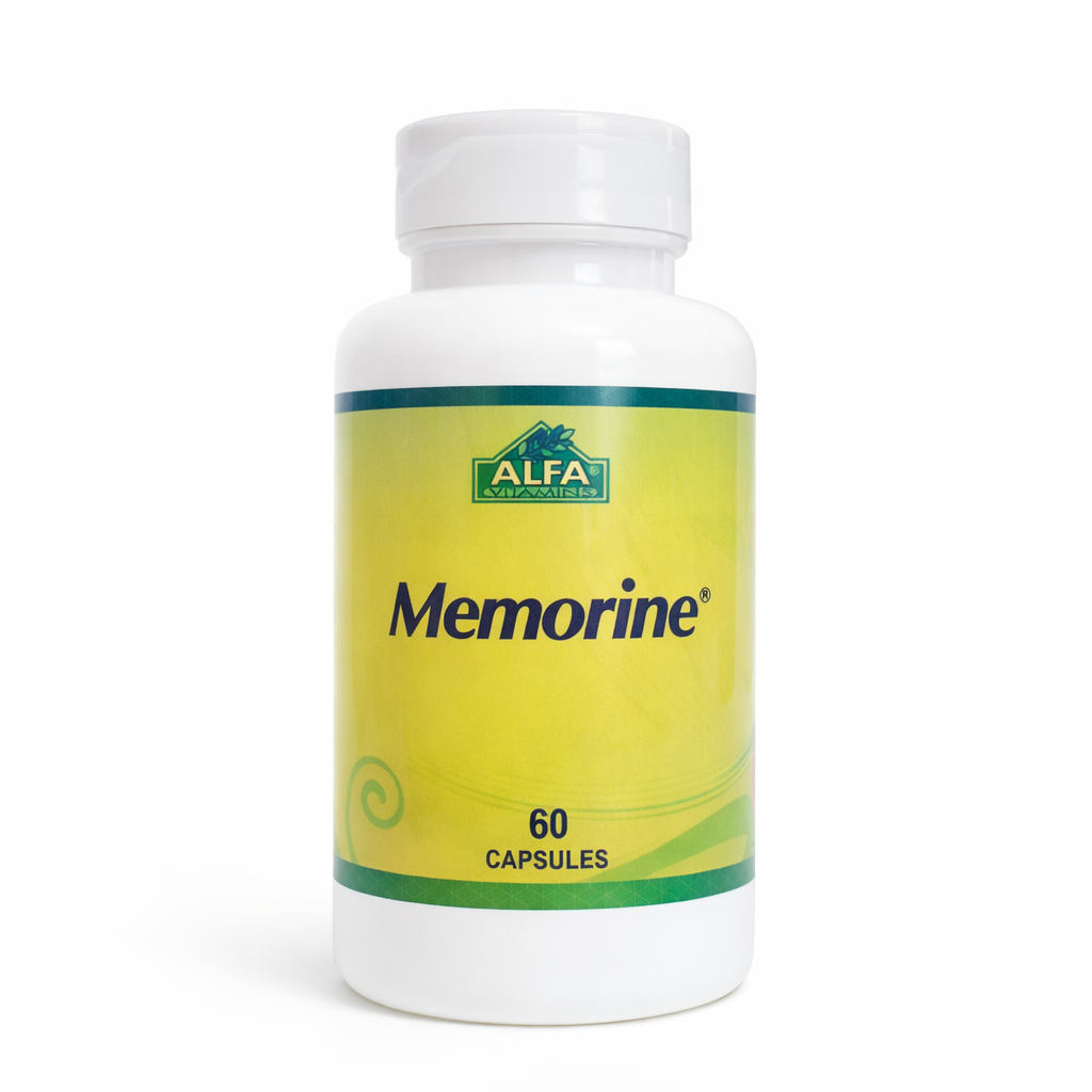 Memorine (60 Cápsulas) - ALFA Vitamins