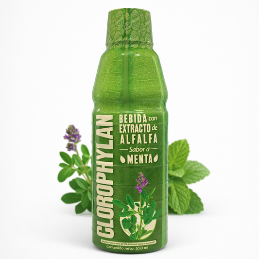 Clorophylan Bebida de Alfalfa con Menta 550ml – Refrescante Natural