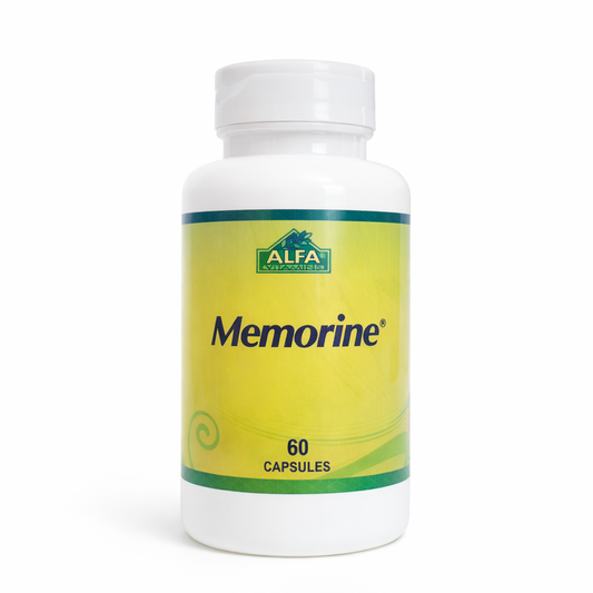 Memorine (60 Cápsulas) - ALFA Vitamins